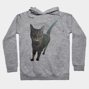 Alert Tabby Hoodie